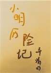 Tiểu Minh lịch hiểm ký